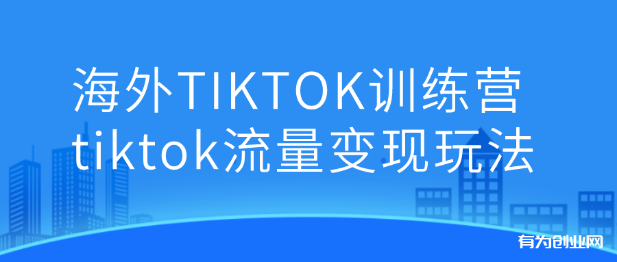 海外TIKTOK训练营，百万项目海外版抖音tiktok流量变现玩法（价值1980元）-有为创业网